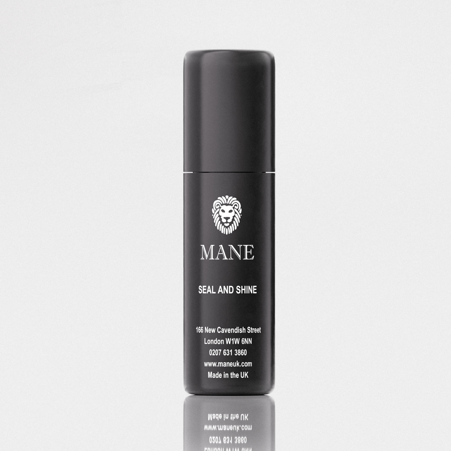 Mane Seal & Shine (100ml)