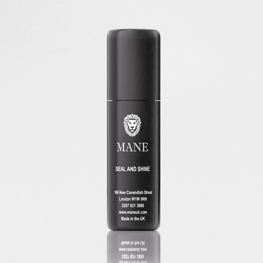 Mane Seal & Shine (100ml)